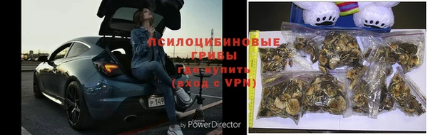 амф Новокубанск