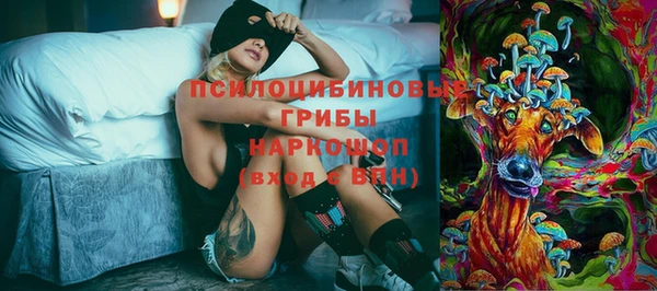 амф Новокубанск