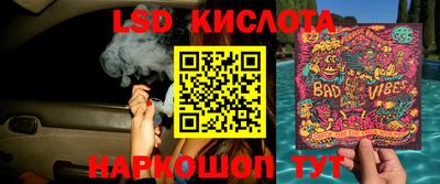 шишки Рыбинск