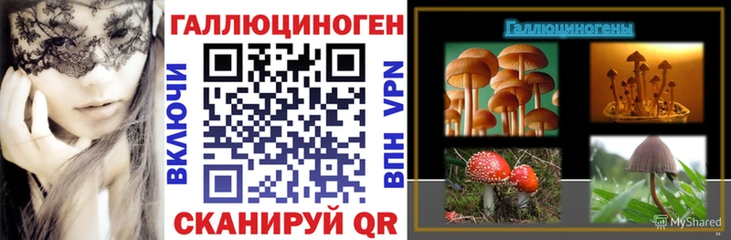 Псилоцибиновые грибы GOLDEN TEACHER  цены   Хабаровск 