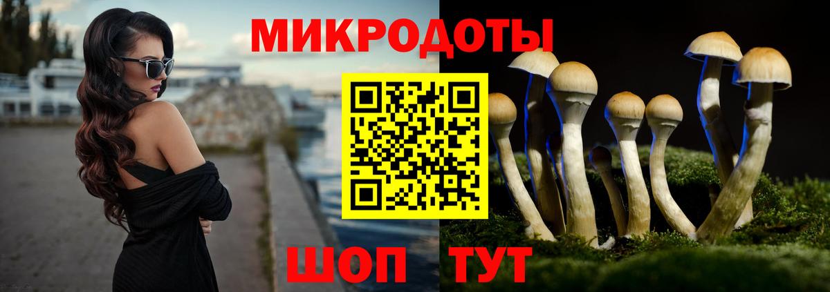 Псилоцибиновые грибы мицелий  Псилоцибиновые грибы Psilocybe  Хабаровск  Вход с VPN 